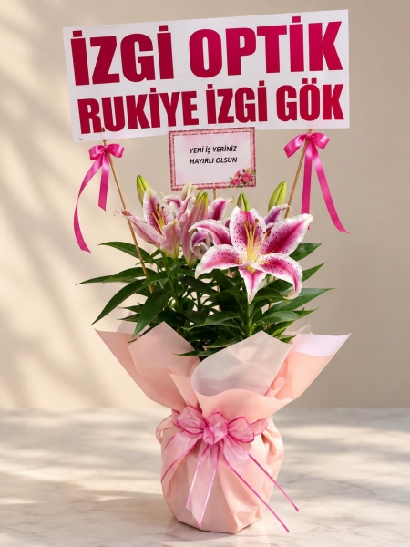 saksıda lilyum büyük yazı ile