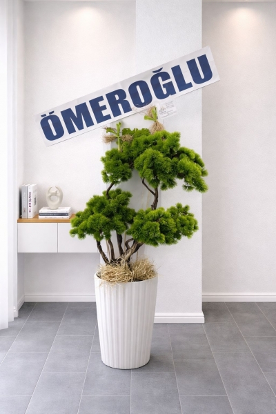 ÖZEL TASARIM BONSAİ