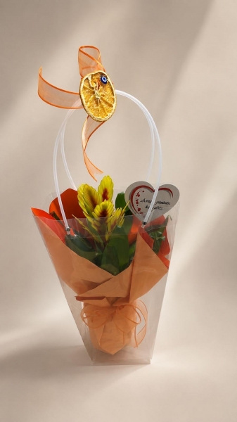 Vriesea alev kılıçı