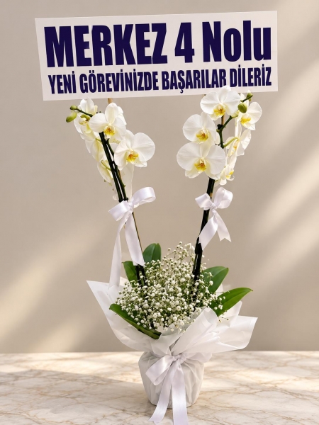 çiftdal beyaz orkide büyük yazı ile