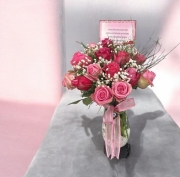 pembe rüya