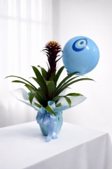 DECORUM ERKEK BEBEK İÇİN