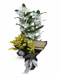 BAMBU ORKİDE 099
