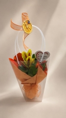 Vriesea alev kılıçı