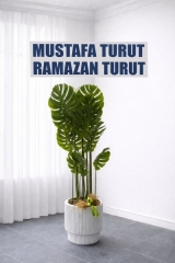 DEVE TABANI YAPAY AĞAÇ