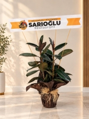 çiftdal kaucuk büyük yazı ile